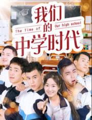 高中时代在线视频观看,在线视频学习之旅