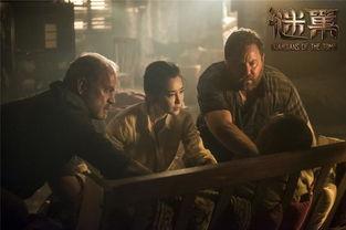 谜巢在线视频,揭秘虚拟世界中的神秘探险之旅