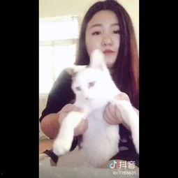 丰满的叔母在线视频,一场视觉与情感的盛宴